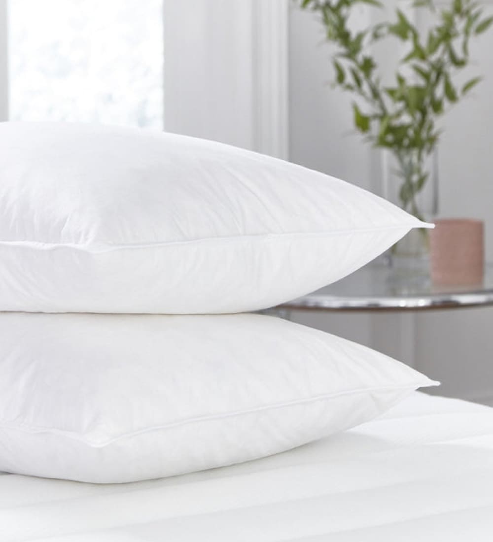 Vacuum Packed 2 Pillows Vp - 005